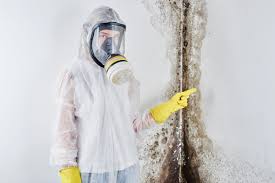 Best Mold Prevention Services  in Warm Springs, OR